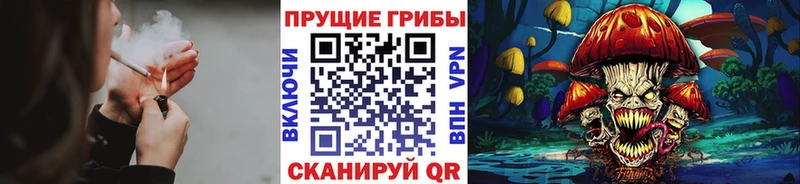 Галлюциногенные грибы Psilocybe Суоярви